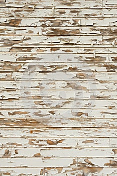 Old Wood with Peeling Antique White Paint