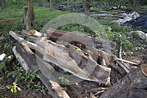 Old wood pile
