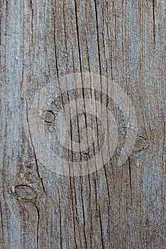 Old wood plank