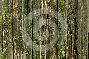 Old wood plank background, wooden boards texture