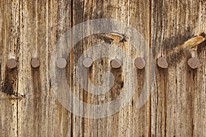 Old Wood Plank Panel With Forged Rusty Iron Nails Texture