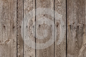 Old wood plank with steel sinker nails texture background. The texture of old wood. Vertical wooden planks.
