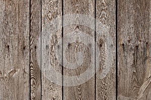 Old wood plank with steel sinker nails texture background. The texture of old wood. Vertical wooden planks. photo