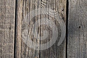 Old wood plank texture background in the midday sun