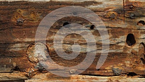 Old wood plank wall closeup nature background