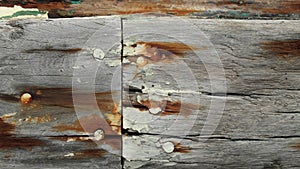 Old wood plank wall closeup nature background