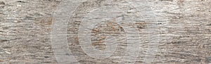 Old wood plank for your concept or project background.