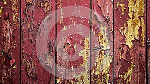 Old Wood Planks with Peeling paint. Exfoliation Paint .Background