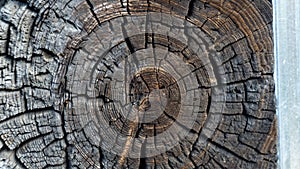 Old Wood Round sawed