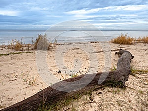 Old wood on a sandy beach by sea, Calm water, Blue sky with clouds, Jurmala region, Latvia. Simple landscape