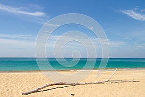 Old wood snag on tropical beach. Phuket. Thailand. Beautiful blue sky and azure sea