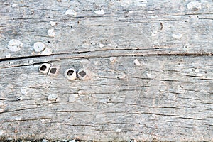 Old wood surface, wood background, wood texture.