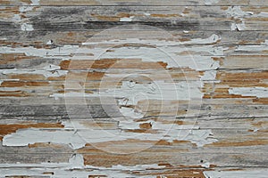 Old wood texture