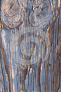 old wood texture