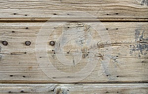 Old wood texture