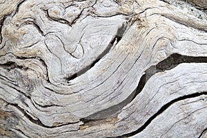 Starý textúra dreva 