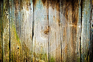 Starý textura dřeva 