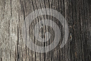 Old wood texture background.