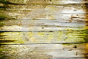 old wood texture background. closeup of old wood planks