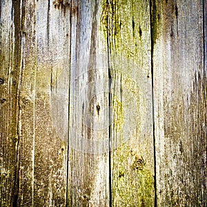 old wood texture background. closeup of old wood planks