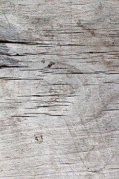 Old wood texture background. Crackled texture.