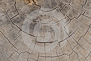 Old wood texture background