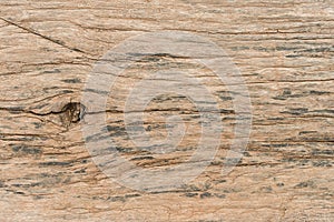 Old wood texture background