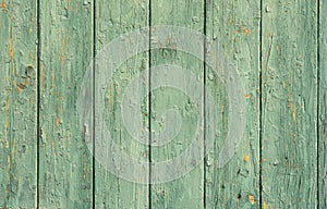 Old wood texture background painted