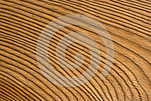 Old wood texture background surface. industrial construction concept design