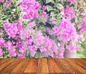 old wood texture with blur Bougainvillea flower in the field background