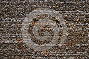 Carpet texture old and damage vintage texture photo