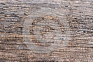 Old wood texture details background