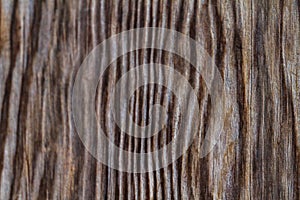Old wood texture distressed grunge background. painted wood Brown on planks of wood wall.