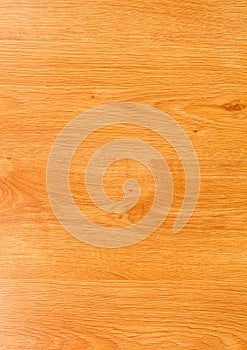 Old wood texture. Floor surface