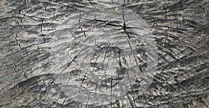 Old wood texture and floor surface with cracks and scratches, abstract background and texture for design