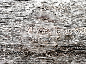 Old Wood texture got solarise long times.