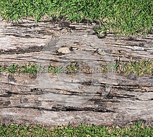Old wood texture with grass background