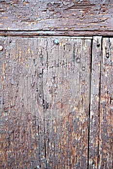 Old, wood texture, with nails and screws and wood grain itself photo