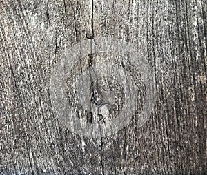 Old wood Texture With natural pattern knot and cracks.Old Knotted Wood, Weathered, Rotten, Cracked, Vignette,