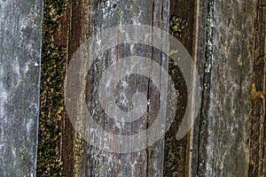The old wood texture with natural patterns and cracks on the surface as background. Darken from center.