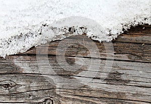 The old wood texture with natural patterns. Inside the tree background. Old grungy and weathered grey wooden wall planks