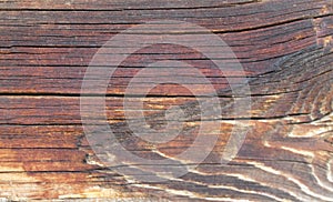 The old wood texture with natural patterns. Inside the tree background. Old grungy and weathered grey wooden wall planks