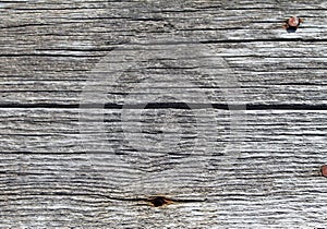 The old wood texture with natural patterns. Inside the tree background. Old grungy and weathered grey wooden wall planks