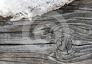 The old wood texture with natural patterns. Inside the tree background. Old grungy and weathered grey wooden wall planks