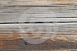 The old wood texture with natural patterns. Inside the tree background. Old grungy and weathered grey wooden wall planks