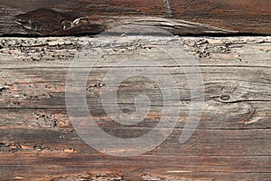 The old wood texture with natural patterns. Inside the tree background. Old grungy and weathered grey wooden wall planks