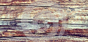 The old wood texture with natural patterns. Inside the tree background. Old grungy and weathered grey wooden wall planks texture b