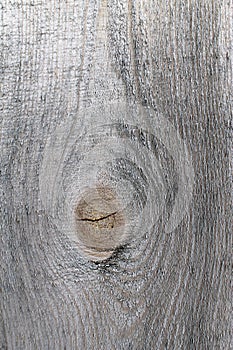 The old wood texture with natural patterns. Inside the tree background. Old grungy and weathered grey wooden wall planks texture b