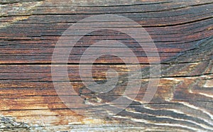 The old wood texture with natural patterns. Inside the tree background. Old grungy and weathered grey wooden wall planks texture b