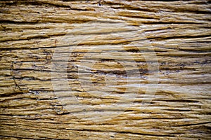 Old wood texture
